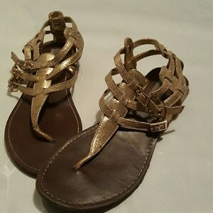 Steve Madden gladiator sandals
